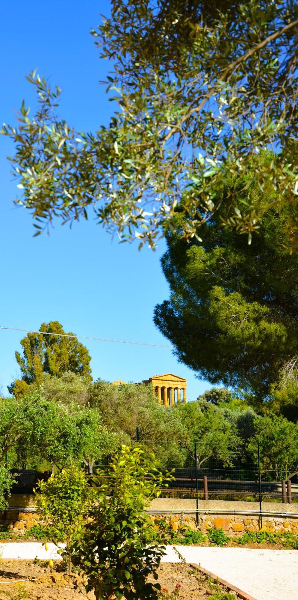 Il Giardino Del Tempio Bed & Breakfast Agrigento Dış mekan fotoğraf