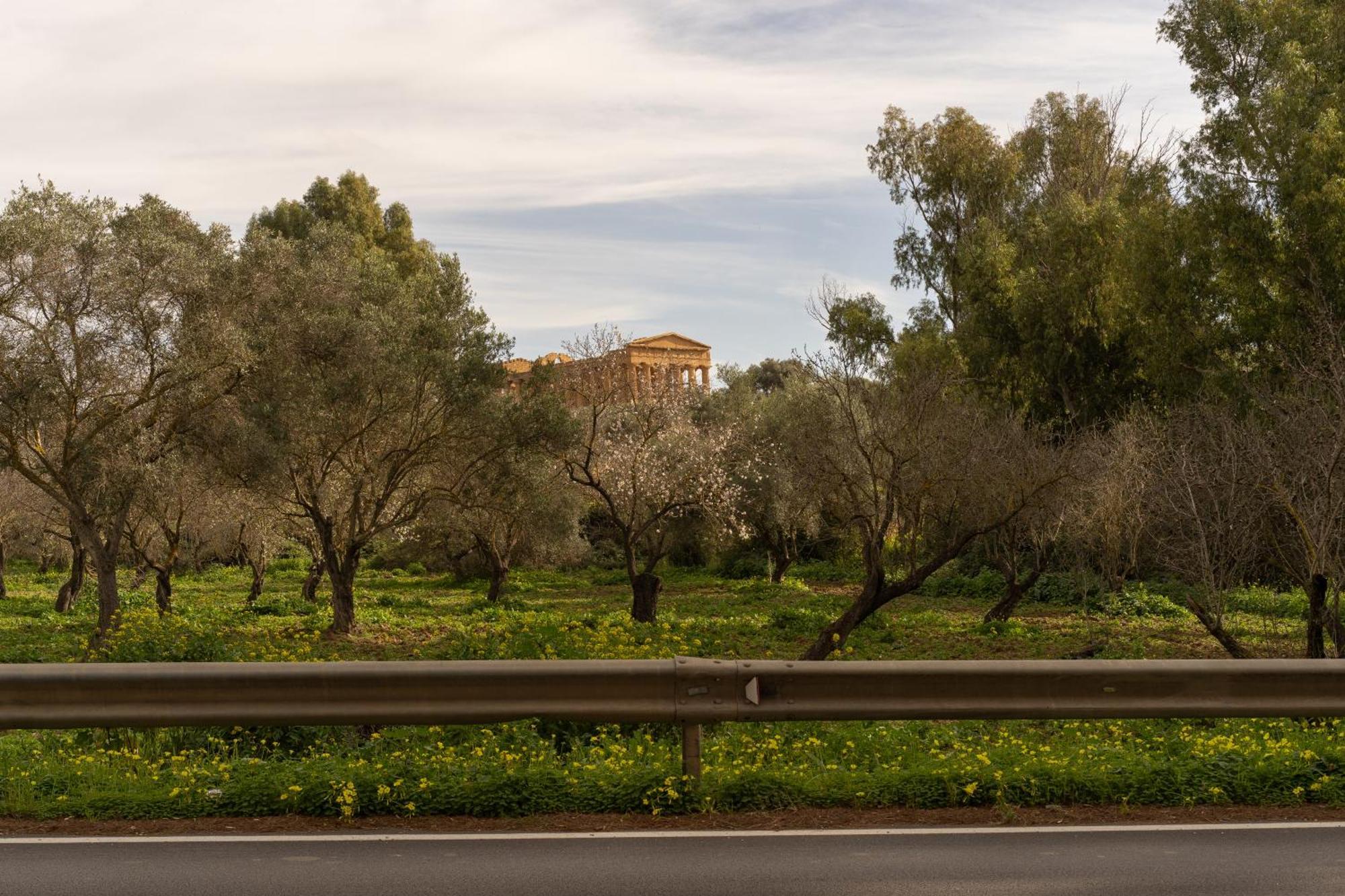 Il Giardino Del Tempio Bed & Breakfast Agrigento Dış mekan fotoğraf